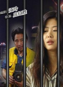 综合视频免费看